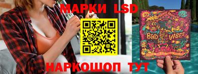 гашик Можга