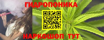 прущие крисы Моздок