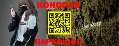 гашик Можга