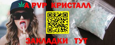 гашик Можга