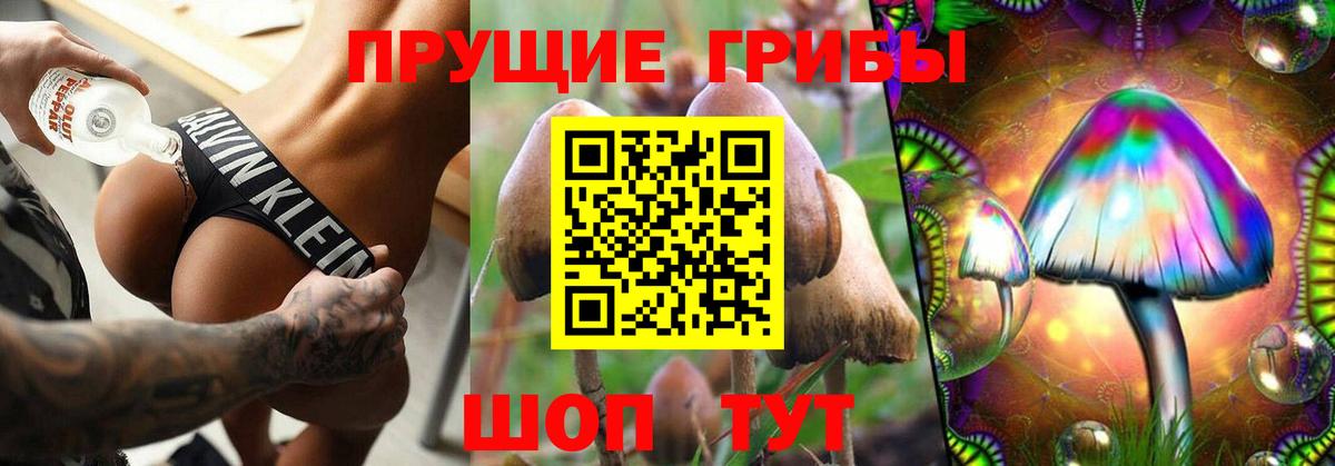 Урюпинск  Галлюциногенные грибы Cubensis  купить закладку  Вход с VPN 