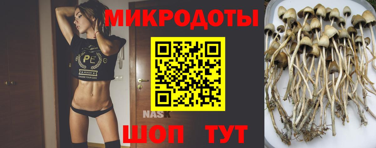 Псилоцибиновые грибы Magic Shrooms Урюпинск